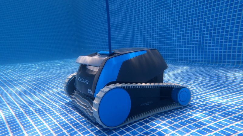 Dolphin Escape Review