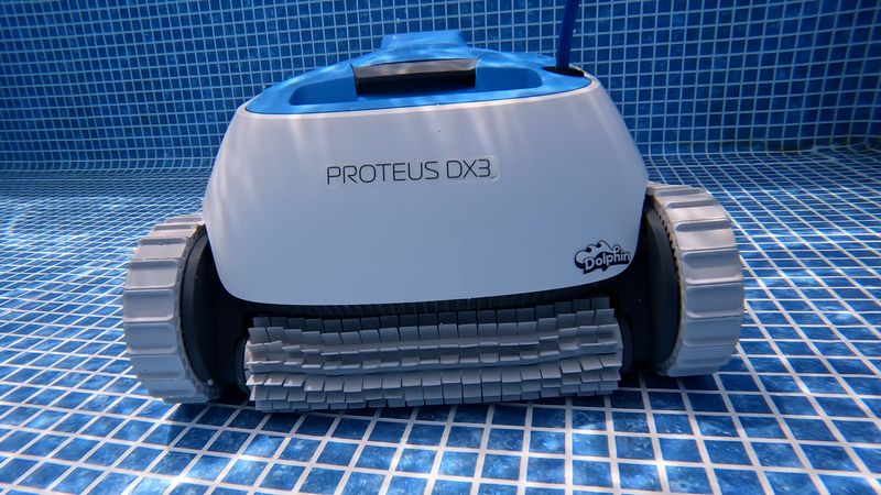 Dolphin Proteus DX3 Review