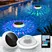 BirdSuite Solar Floating Pool Lights