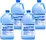 Champion Muriatic Acid