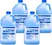 Champion Muriatic Acid