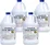 Champion Liquid Chlorine (12.5%)