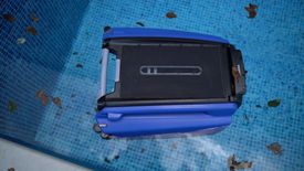 Betta SE Review