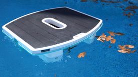 Dolphin Skimmi Review
