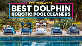 Best Dolphin Pool Cleaners