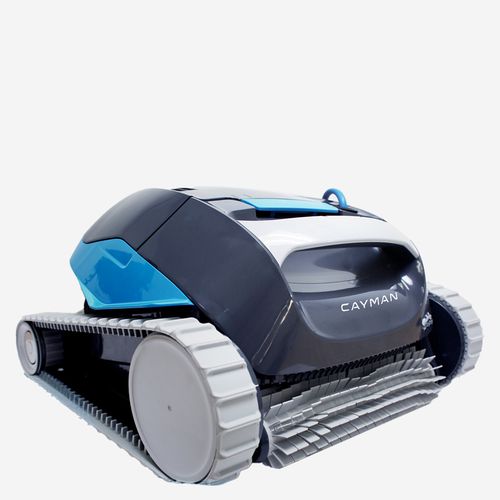 Dolphin Cayman Review