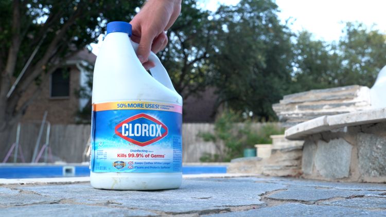 Liquid chlorine is my preferred sanitizer for a traditional pool