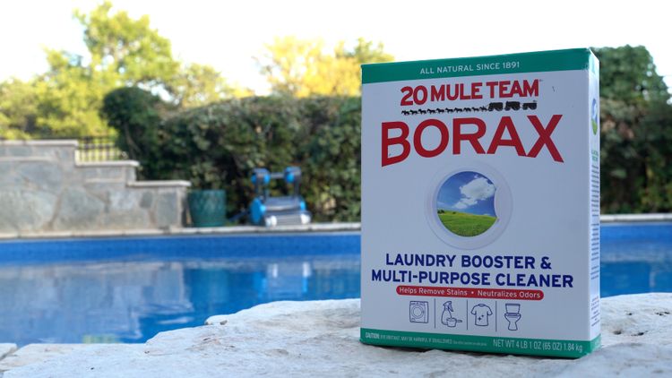 Plain 20 Mule Team Borax from the laundry aisle nudges pH up without touching alkalinity