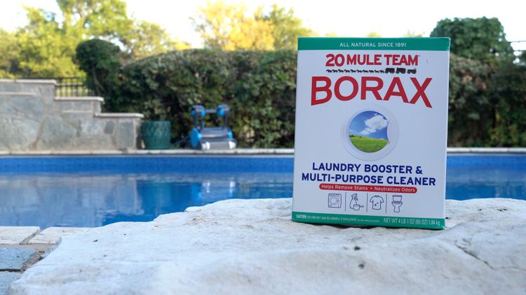 20 Mule Team Borax — about five dollars a box, and chemically the same borate the pool industry sells as 'optimizer'
