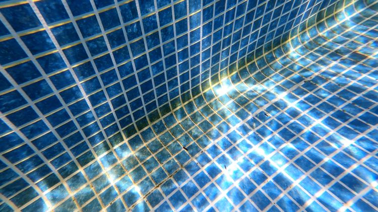 A visible algae bloom means the pool has lost effective sanitizing power