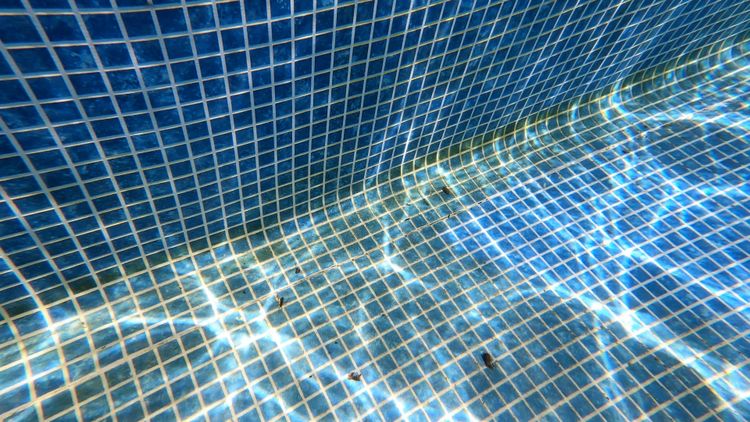 Fix green water before closing instead of hiding the problem under a cover