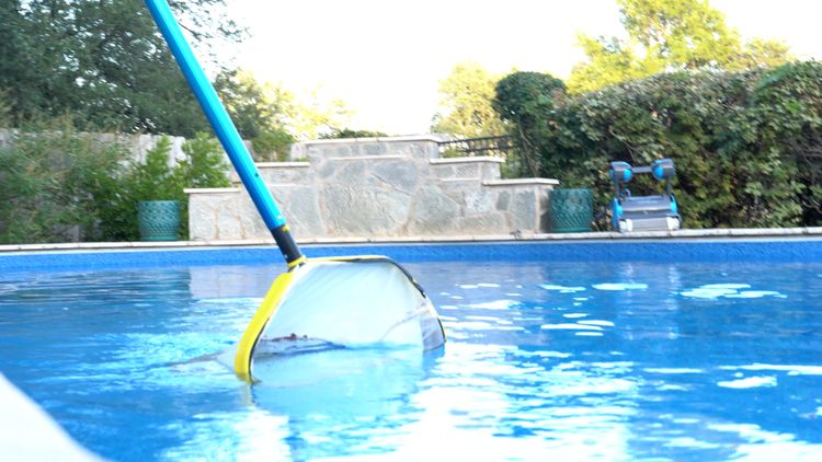 Debris that has already waterlogged and settled on the bottom of the pool
