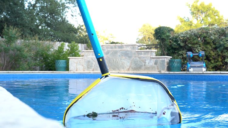 A deep-bag leaf net pulling a heavy load of debris out of the water