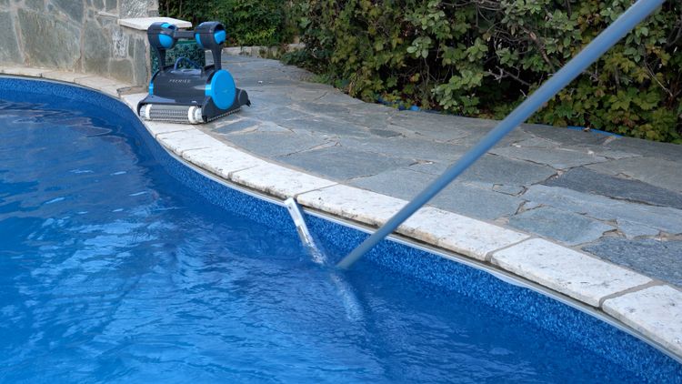 Skim, brush, and clean every surface before shutting the pool down