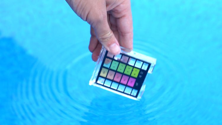pH decides how much of your chlorine is actually killing anything — test it before you dose