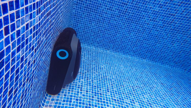Aiper Scuba S1 on the wall of my pool