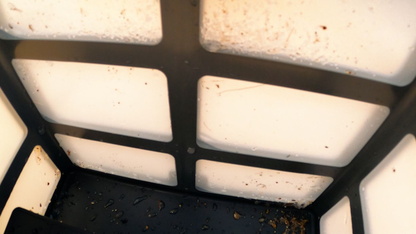 The basic mesh filter on the AquaSense 2 Pro