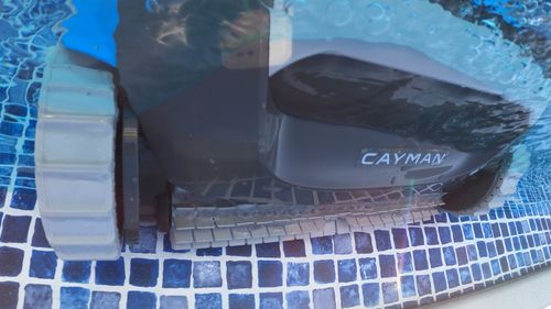 Dolphin Cayman cleaning waterline