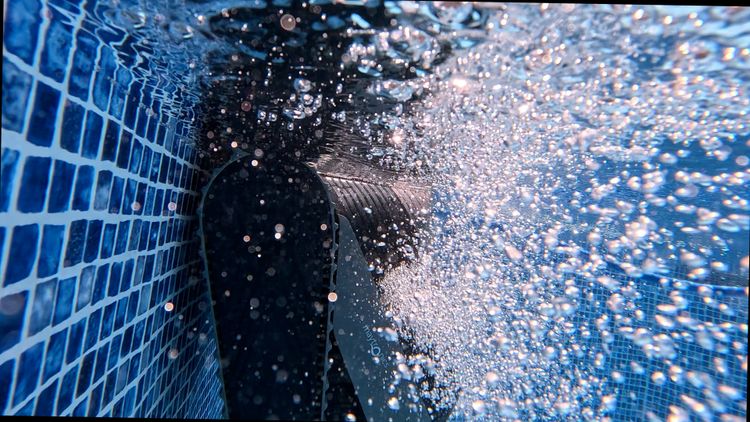You want a pool robot that cleans from the floor to the waterline