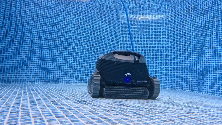 Dolphin Quantum sitting on our test pool floor