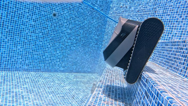 Cresting the step ledge in shallow, sunlit water