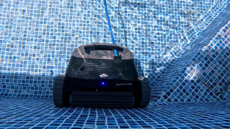 The Quantum Pro badge on the newest model of the Dolphin Quantum