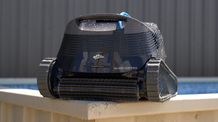 The Dolphin Quantum Pro is Pool Nerd Approved