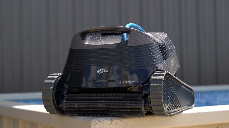 The Dolphin Quantum — built to clean, not to impress on social media