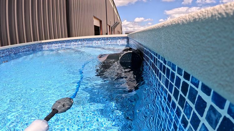 The Dolphin Quantum offers excellent value