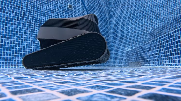 Dolphin Quantum beginning wall climb on concrete pool surface