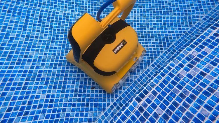 The Dolphin Wave 60 is a capable cleaner, but its value falls behind the best ProLine alternatives