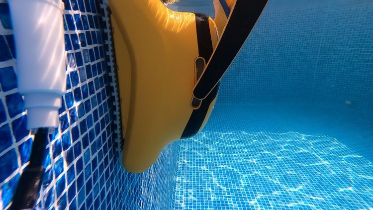 The Dolphin Wave 80 climbing a pool wall during testing