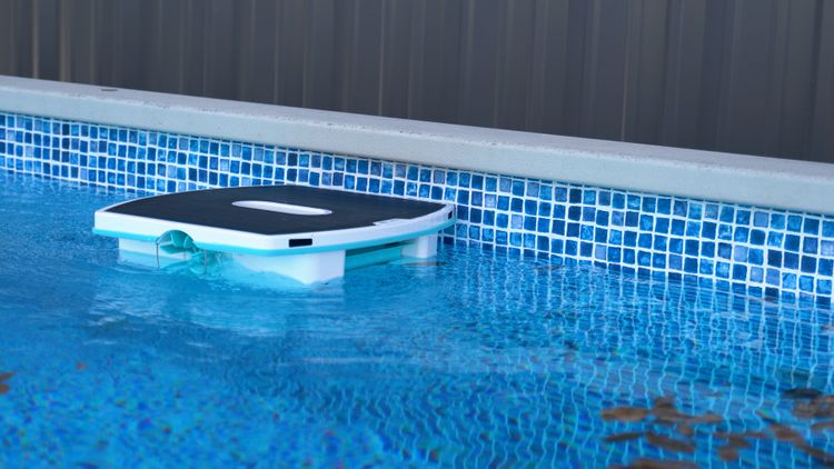 A Skimmi in Our Ecopool