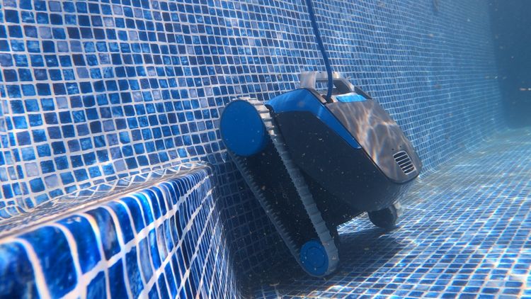 The Dolphin Escape will start to climb the wall, but won't go all the way up it - this is by design