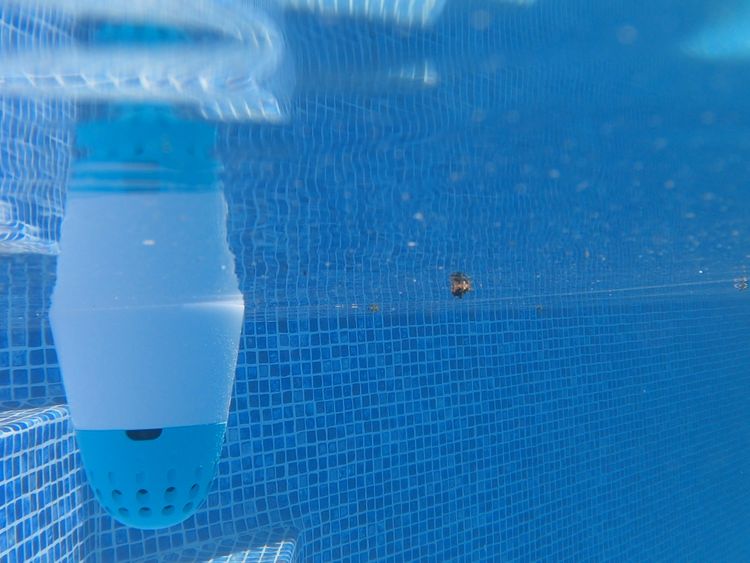 The best thing you'll ever buy for your pool