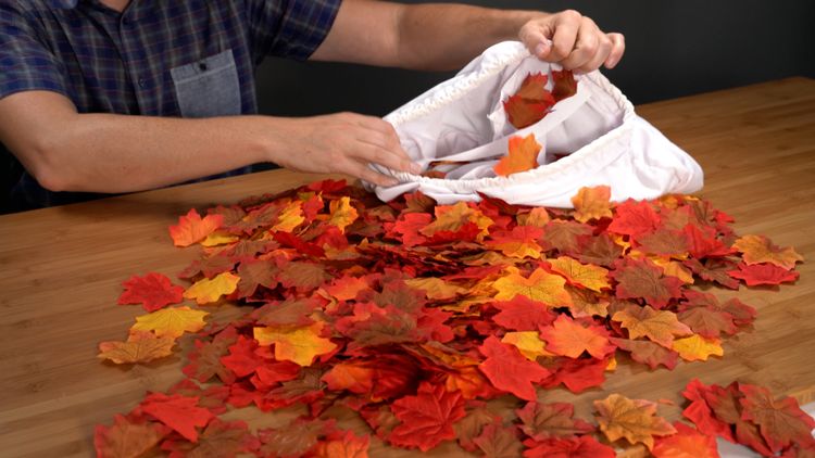 What Premier's oversized leaf bag pulled out of my pool in one cycle