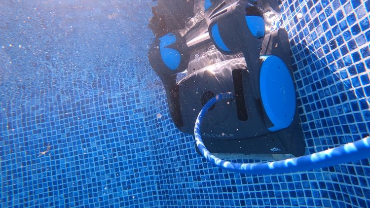 Dolphin Premier climbing concrete pool walls with commercial-grade motors