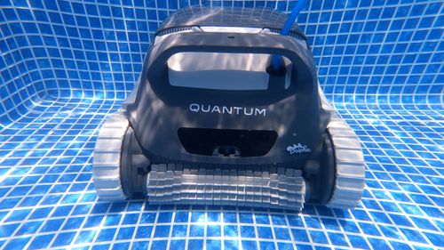 Dolphin Quantum
