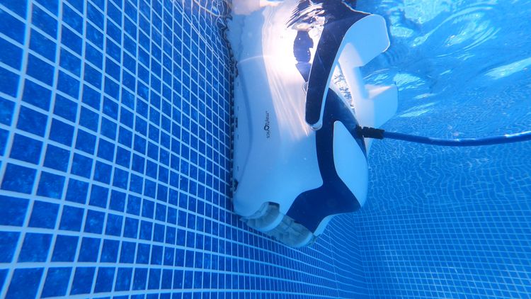 Dolphin Sigma climbing the walls