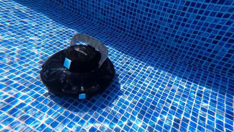 Winny 200SE cleaning my pool