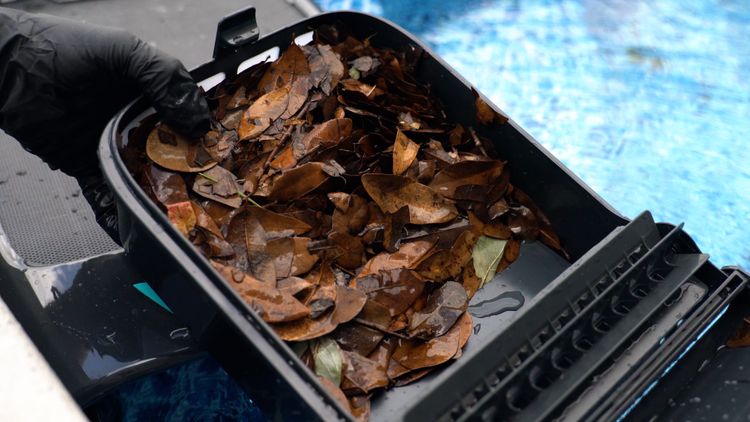 Aiper Surfer S2 picks up leaves, but not as well as the competition