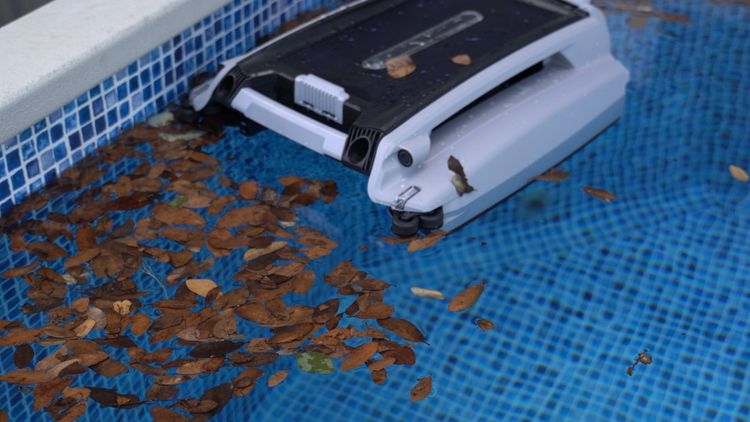 The Betta SE Plus collects the leaves and bugs a floor robot never sees