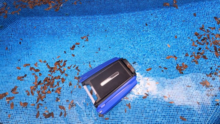 I dumped hundreds of leaves into my pool to help you find the best skimmer
