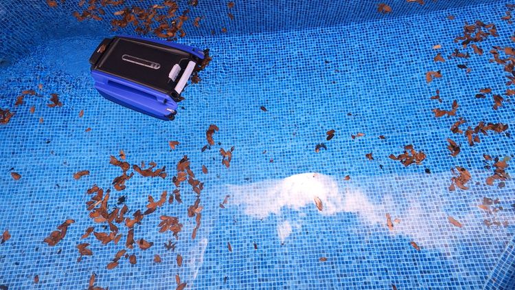 Is the Betta SE the best pool skimmer?