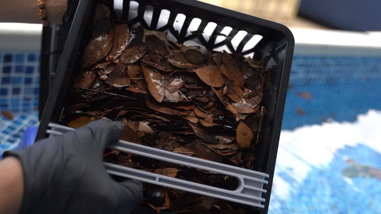 The Betta SE cleans a serious amount of leaves