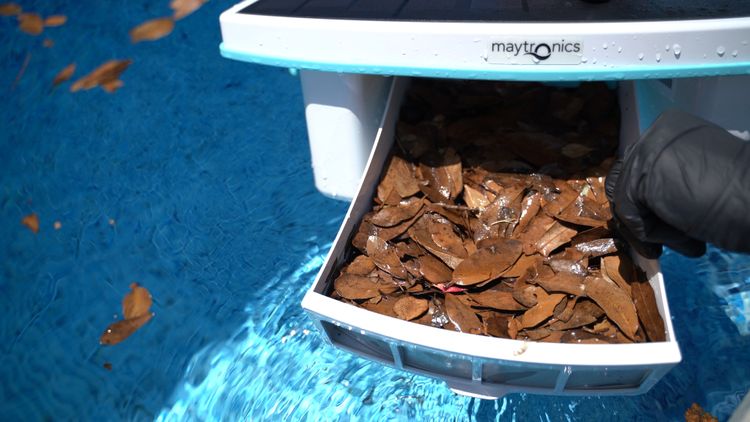 Just look at how many leaves the Dolphin Skimmi collected
