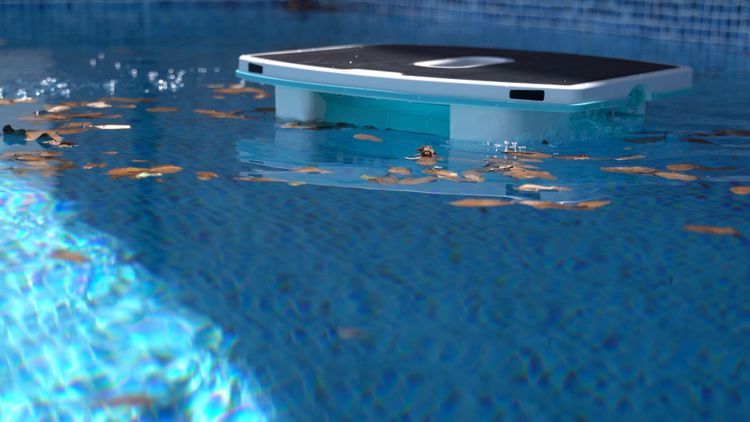 The Dolphin Skimmi cleaning my pool