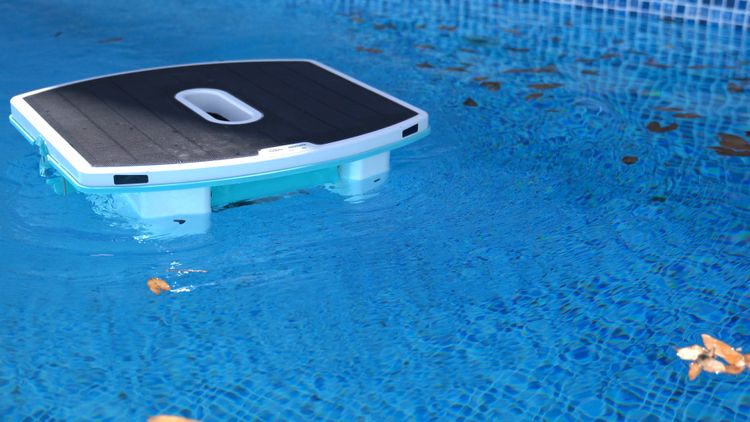 A pool skimmer is something every pool owner should have