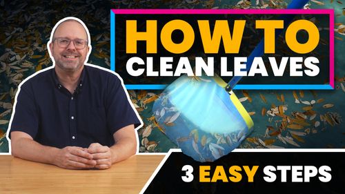 How to Clean Leaves Out of Your Pool (3 Easy Steps)