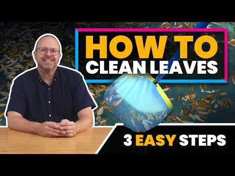 How to Clean Leaves Out of Your Pool (And Keep Them Out)